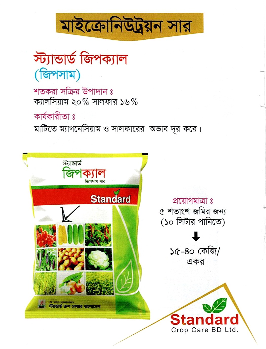 স্ট্যান্ডার্ড জিপক্যাল